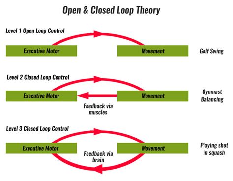 Theories include Operant Conditioning, Insight Learning, and Bandura’s Observational Learning. . Schema theory examples in sport